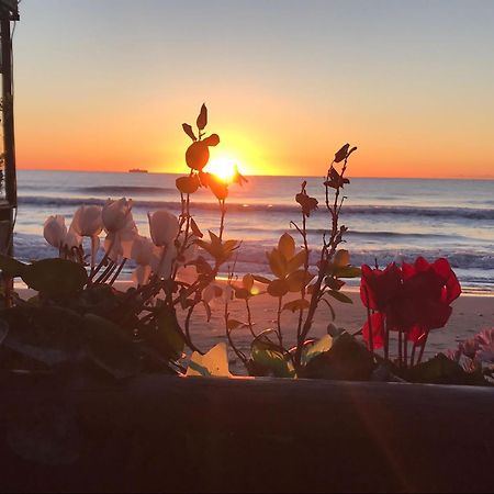 Appartamento fronte mare con terrazzo zio Alassio Esterno foto